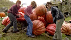 Задник до фильму"Гаррі Поттер і в’язень Азкабану" #487056