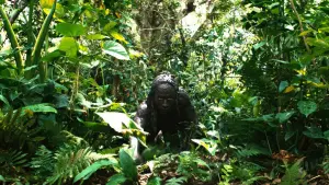 Задник до фильму"Апокаліпсис" #443933