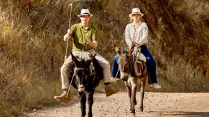 Задник до фильму"" #536622