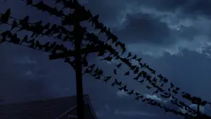 Задник до фильму"Птахи" #677209