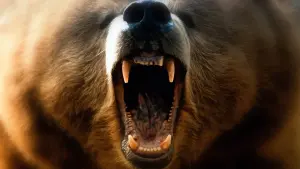 Задник до фильму"На межі" #260045