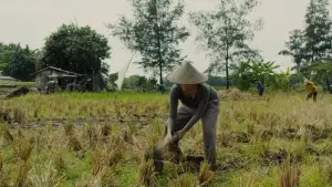 Задник до фильму"" #592078