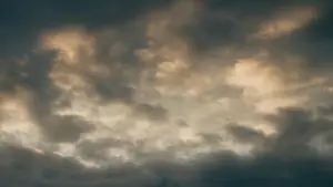 Задник до фильму"Entre fleuve et montagne" #776956