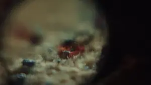 Задник до фильму"Ножі наголо" #561351