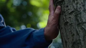 Задник до фильму"Ідеальні дні" #529618