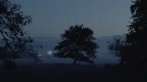 Задник до фильму"Іноді я думаю про смерть" #760509