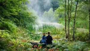 Задник до фильму"Котячі світи Луїса Вейна" #251107