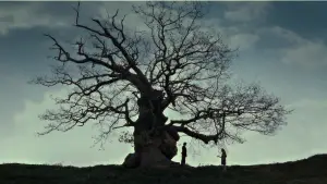 Задник до фильму"Гаррі Поттер та смертельні реліквії: Частина 2" #555346