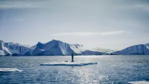 Задник до фильму"" #536097