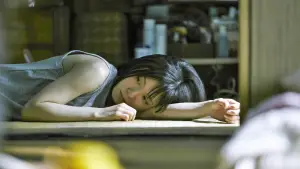 Задник до фильму"Крамничні злодюжки" #718999