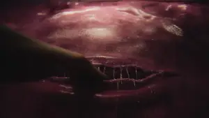 Задник до фильму"Teenage Sex and Death at Camp Miasma" #781727