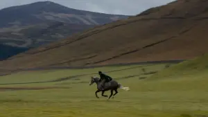 Задник до фильму"Список містера Малкольма" #418825