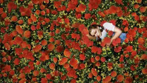 Задник до фильму"Чарівник країни Оз" #523877