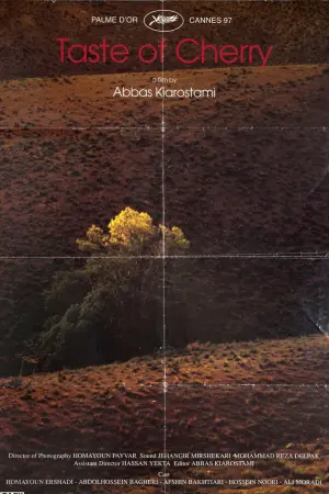 Постер до фильму"Смак вишні" #203841