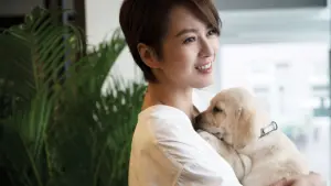 Задник до фильму"" #495349