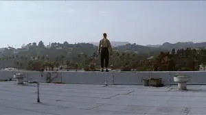 Задник до фильму"Магнолія" #670099