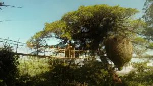 Задник до фильму"Пригоди Паддінґтона" #674573