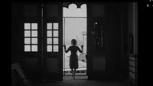 Задник до фильму"" #250999