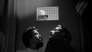 Задник до фильму"Вторгнення викрадачів тіл" #715474