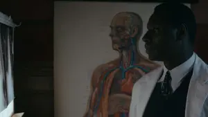 Задник до фильму"Афера Доктора Нока" #289352