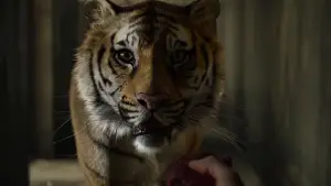 Задник до фильму"Життя Пі" #773172