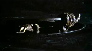 Задник до фильму"" #434086