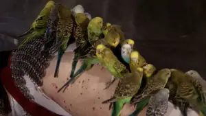 Задник до фильму"Барбарелла" #724566