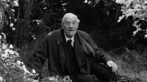 Задник до фильму"Сунична галявина" #750358