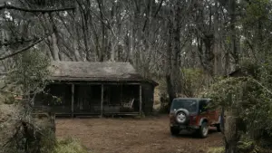 Задник до фильму"Зловісні мерці" #643107