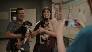 Задник до фильму"" #623244