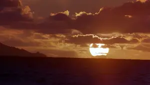 Задник до фильму"Багряний приплив" #720441