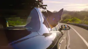 Задник до фильму"Без образ" #607434