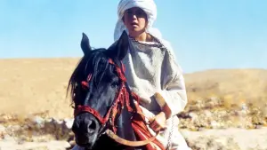 Задник до фильму"Повернення чорного скакуна" #494743