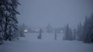 Задник до фильму"Сяйво" #520193