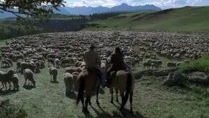 Задник до фильму"Горбата гора" #753820