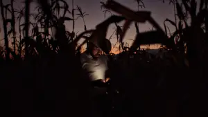 Задник до фильму"Jaripeo" #785168