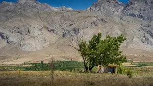 Задник до фильму"Те, що ти вбиваєш" #537314