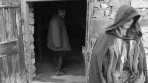 Задник до фильму"Туринський кінь" #201326