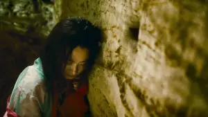 Задник до фильму"Прах часів" #731530