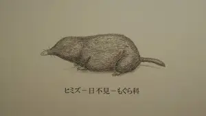 Задник до фильму"ヒミズ" #951374