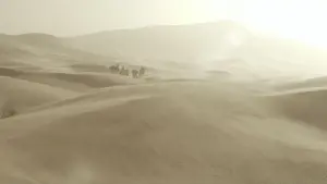 Задник до фильму"Королева пустелі" #428466