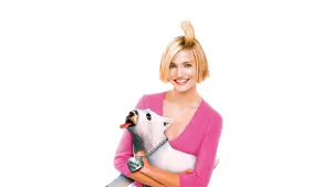 Задник до фильму"Всі шаленіють від Мері" #273195