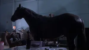 Задник до фильму"" #471584