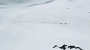 Задник до фильму"Снігова спільнота" #686983