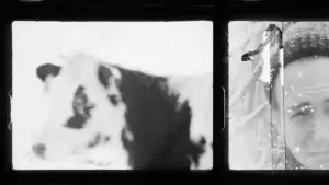 Задник до фильму"Коровий Вал" #537196