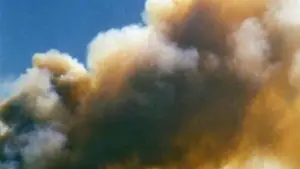 Задник до фильму"" #743201