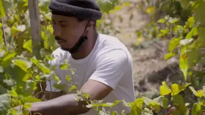 Задник до фильму"The Two Eighty Project" #791942