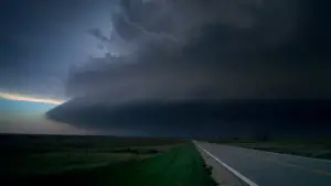 Задник до фильму"Древо життя" #723945