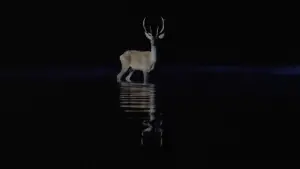 Задник до фильму"Андеґраунд" #754492