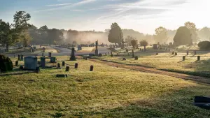 Задник до фильму"Реймонд та Рей" #433797